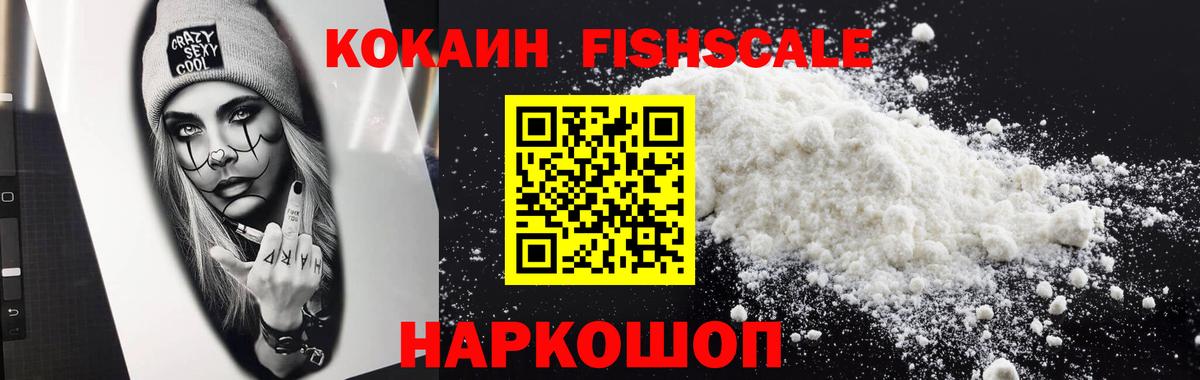 КОКАИН FishScale  Кокаин FishScale  закладка  Вход с VPN  Бердск 
